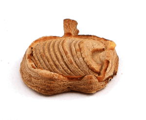 Individual Apple Puff - World of Chantilly